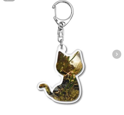 画像有り- 苔ねこ キーホルダー