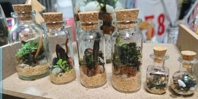 画像有り- 苔 小瓶6点セット 小さな自然を眺めながらお茶しませんか?