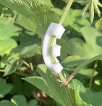 画像有り- 植物固定クリップ 曲げる 植物ベンダー ホワイト5個