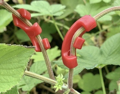 画像有り- 植物固定クリップ 曲げる 植物ベンダー レッド5個