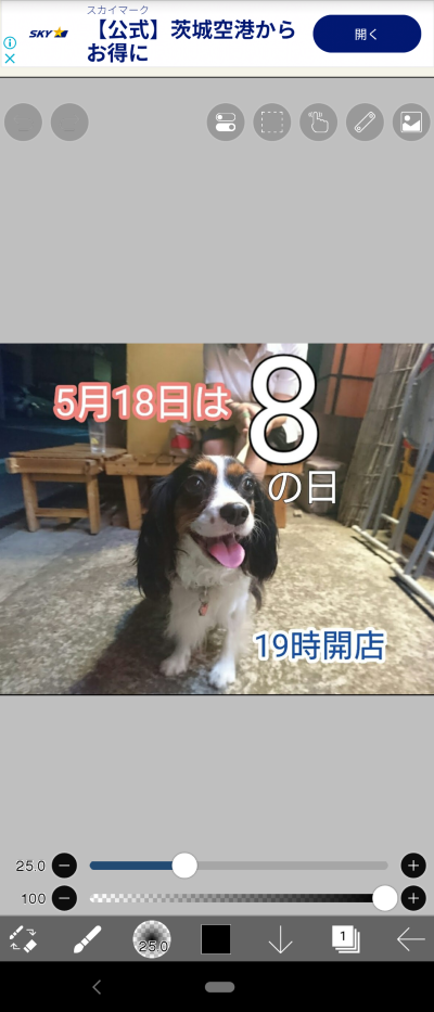 画像有り-
